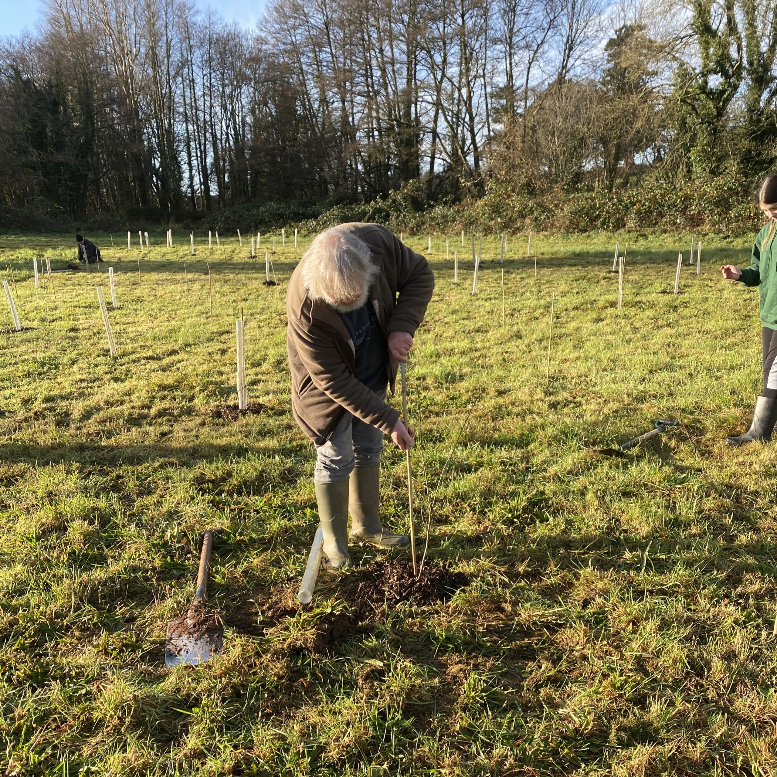 A man planting a tree.