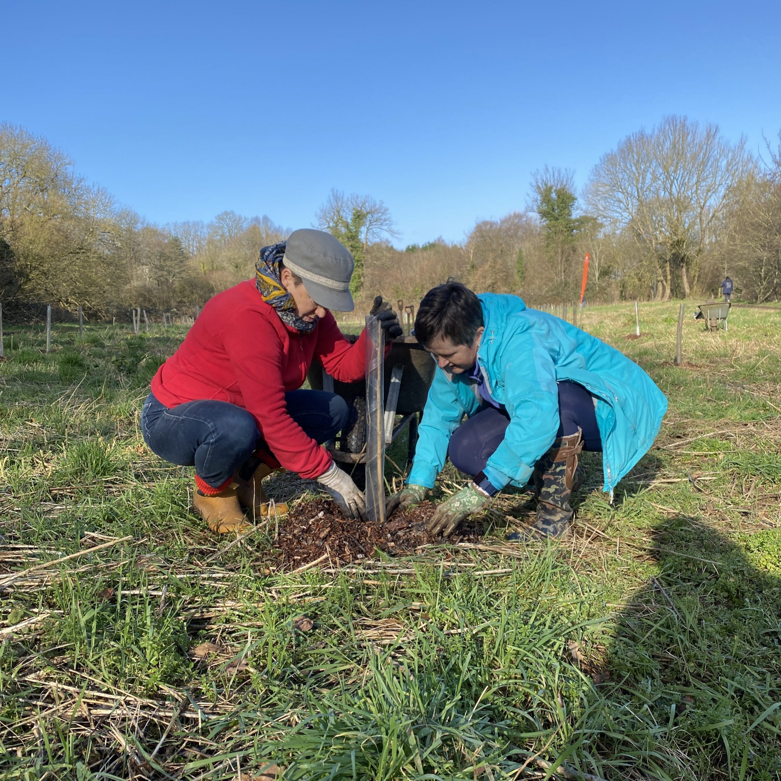 Two women plant a tree.