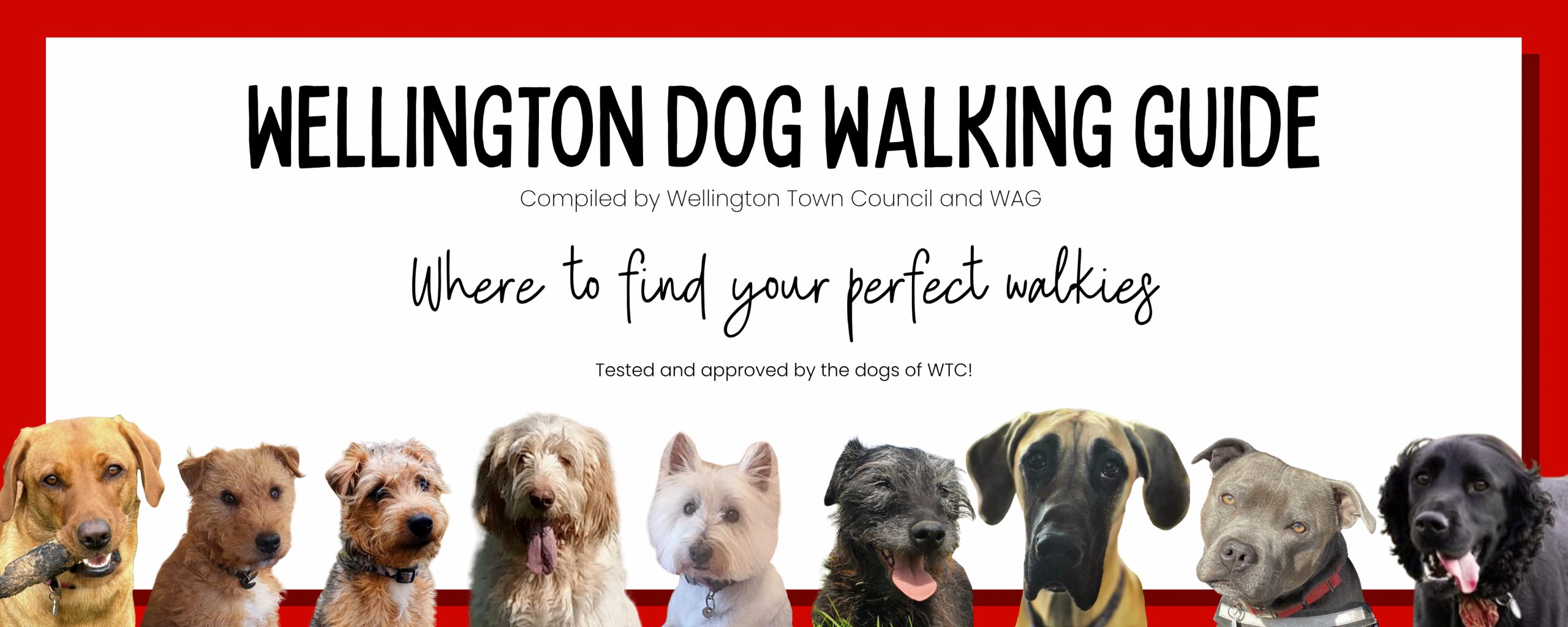 Wellington Dog Walking Guide. Compiled by Wellington Town Council and WAG. Where to find your perfect walkies. Tested and approved by the dogs of WTC