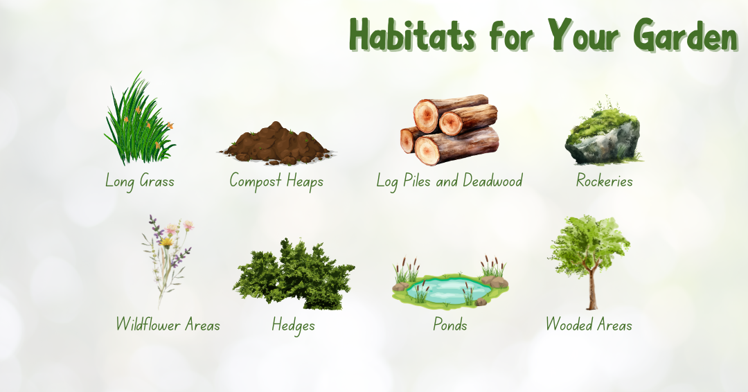 Habitats for Your Garden. Long grass, compost heaps, log piles, deadwood, rockeries, wildflower areas, hedges, ponds, wooded areas.