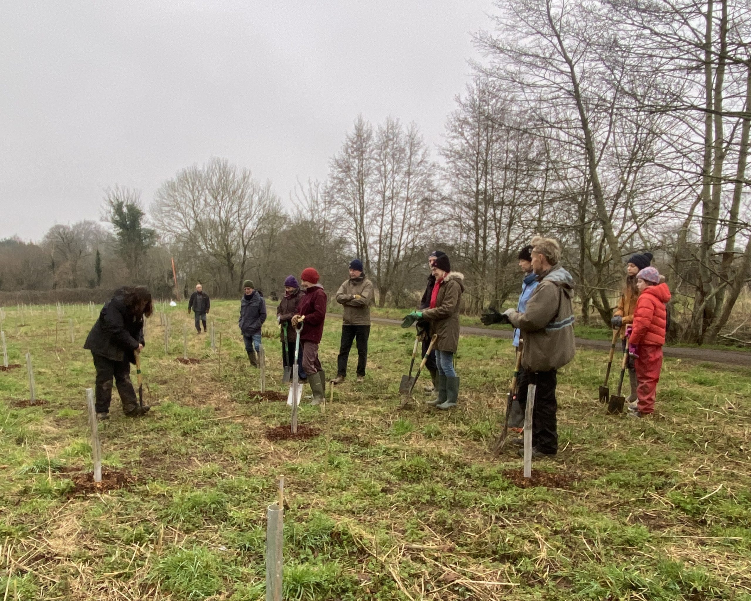A group of people watch a woman plant a tree.