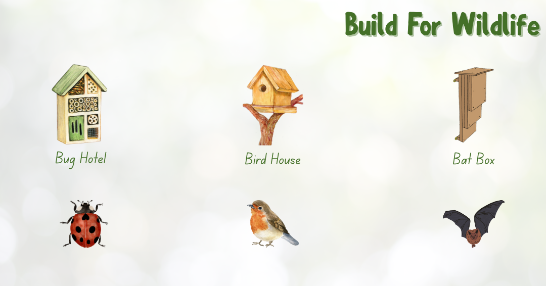 Build for Wildlife. Bug hotel, bird house, bat box.