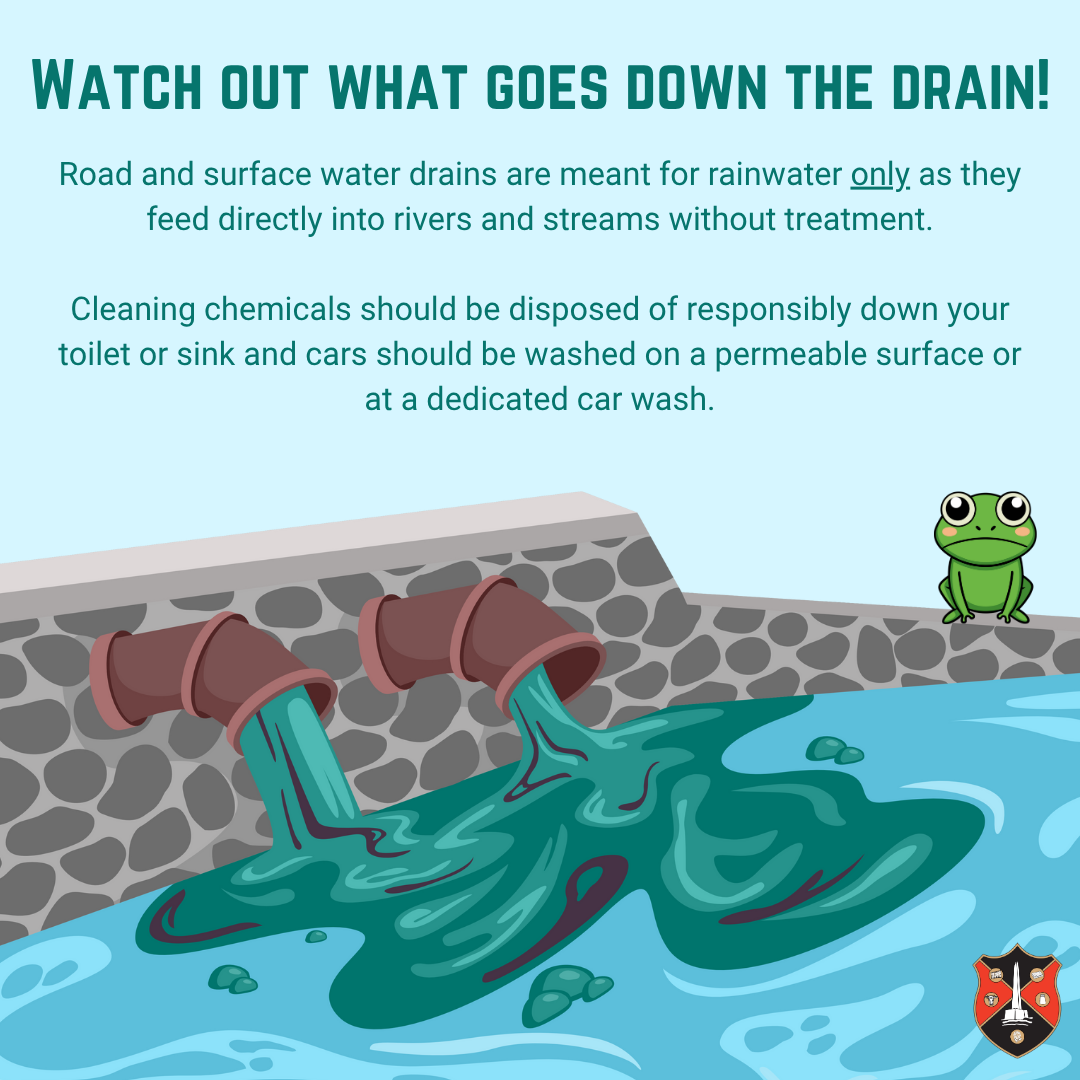 Watch out what goes down the drain! Road and surface water drains are meant for rainwater only as they feed directly into rivers and streams without treatment. Cleaning chemicals should be disposed of responsibly down your toilet or sink and cars should be washed on a permeable surface or at a dedicated car wash.