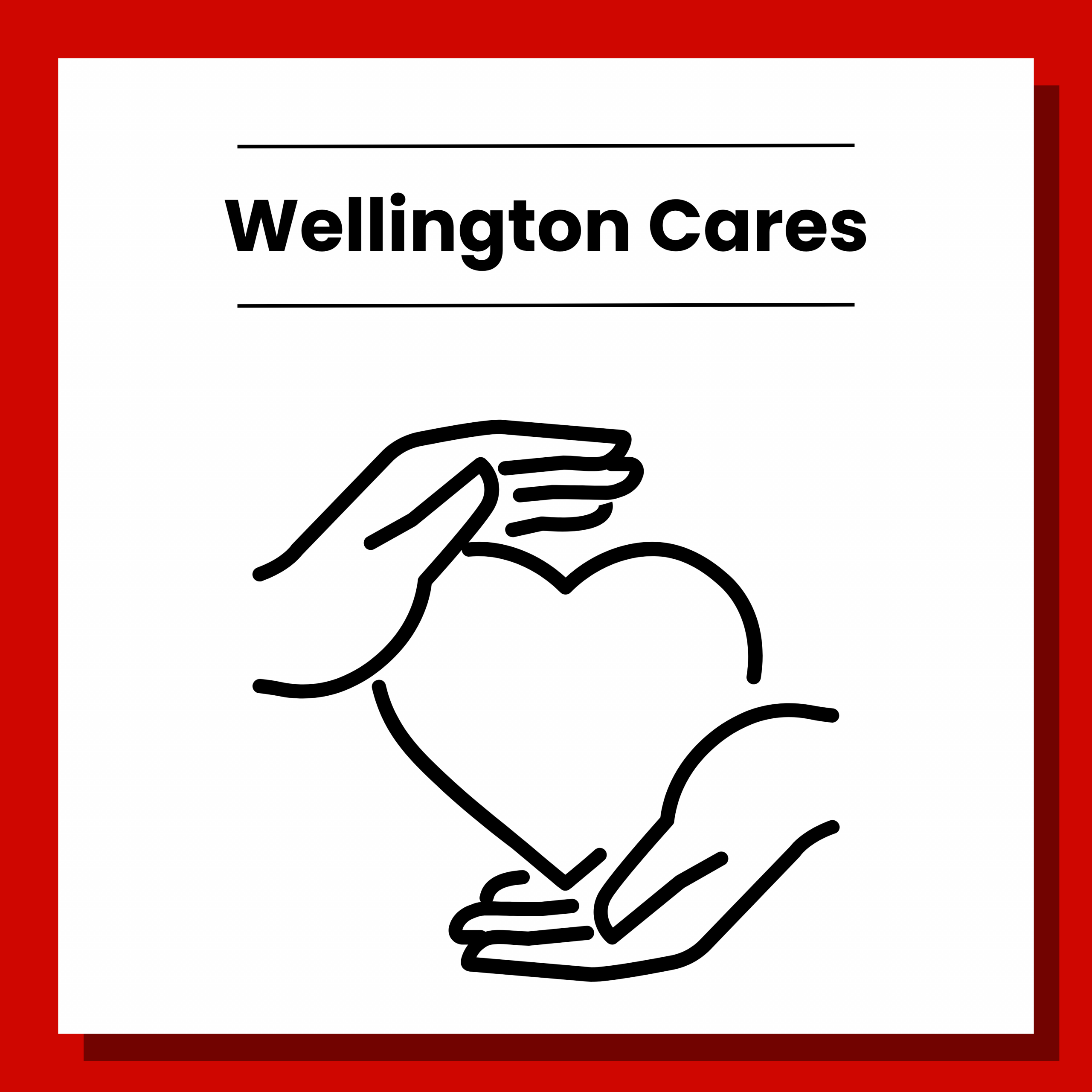 10 Wellington Cares. Click to view.