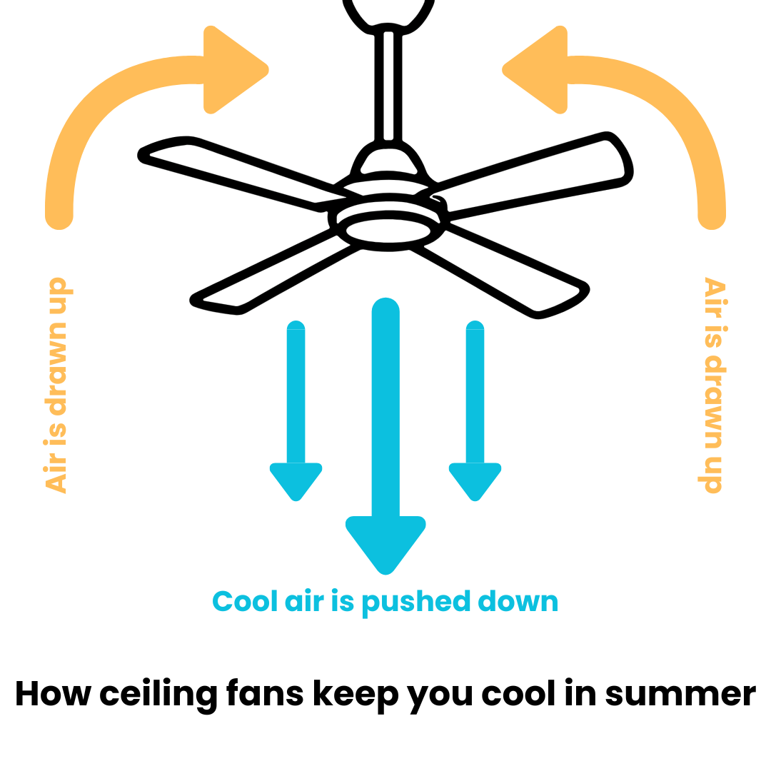 A diagram depicting how ceiling fans use downdrafts to cool people in summer.