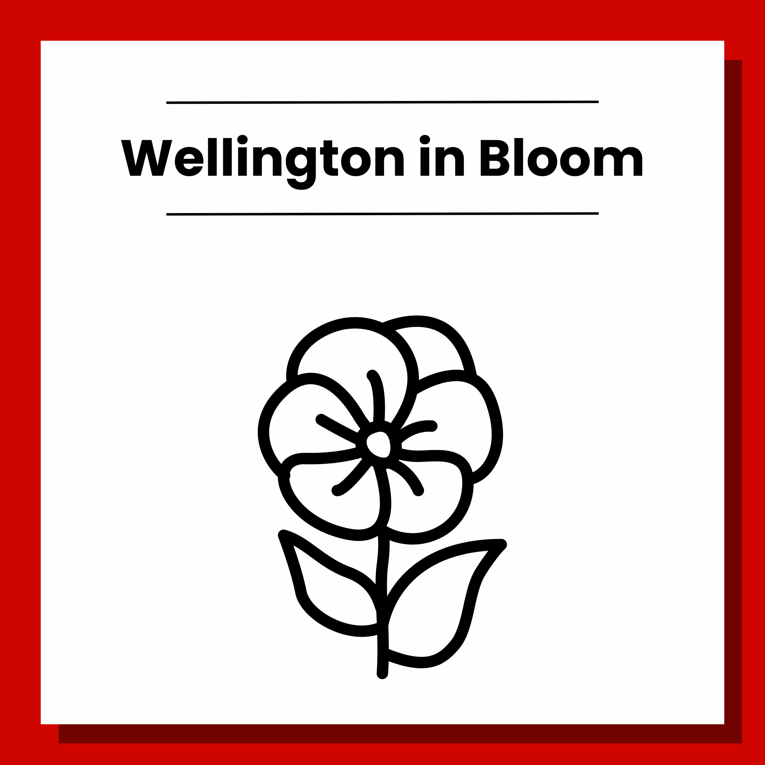 Wellington in Bloom. Click to view.